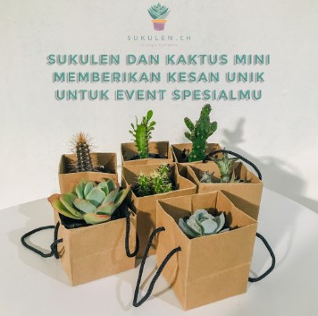 Kaktus dan Sukulen dengan Paper Bag