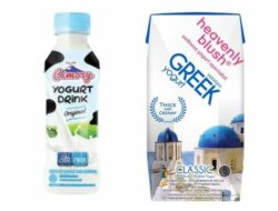 12 Rekomendasi Yoghurt Original Terbaik (Review Terbaru 2022)