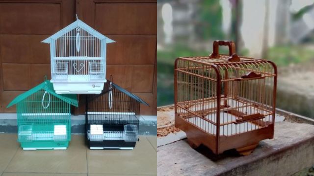 Rekomendasi Sangkar Burung Minimalis Modern Terbaru