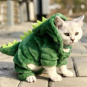 Baju Kucing Persia Model Dinosaurus