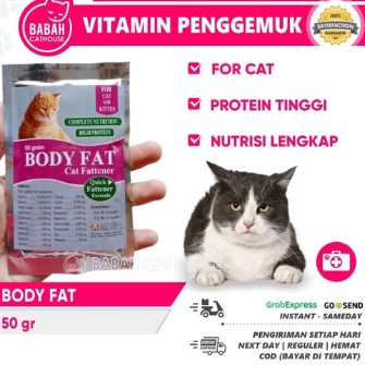 Body Fat Vitamin Kucing