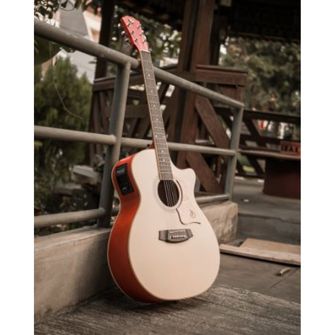 Gitar Semi Akustik Mandalika DTS-01 Free Softcase Senar Pick