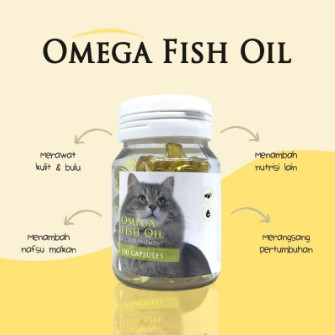 Vitamin Minyak Ikan Untuk Kucing